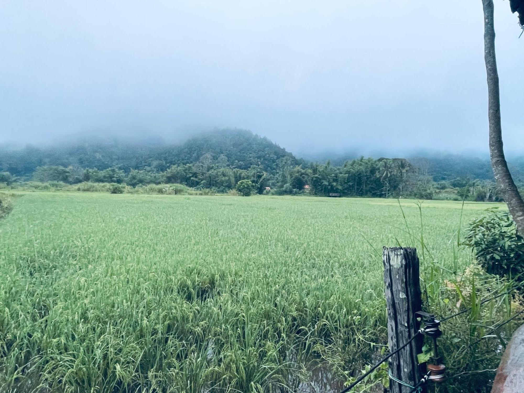 บ้านสวนวิวทุ่ง Ban Mae Sap Nua Eksteriør bilde