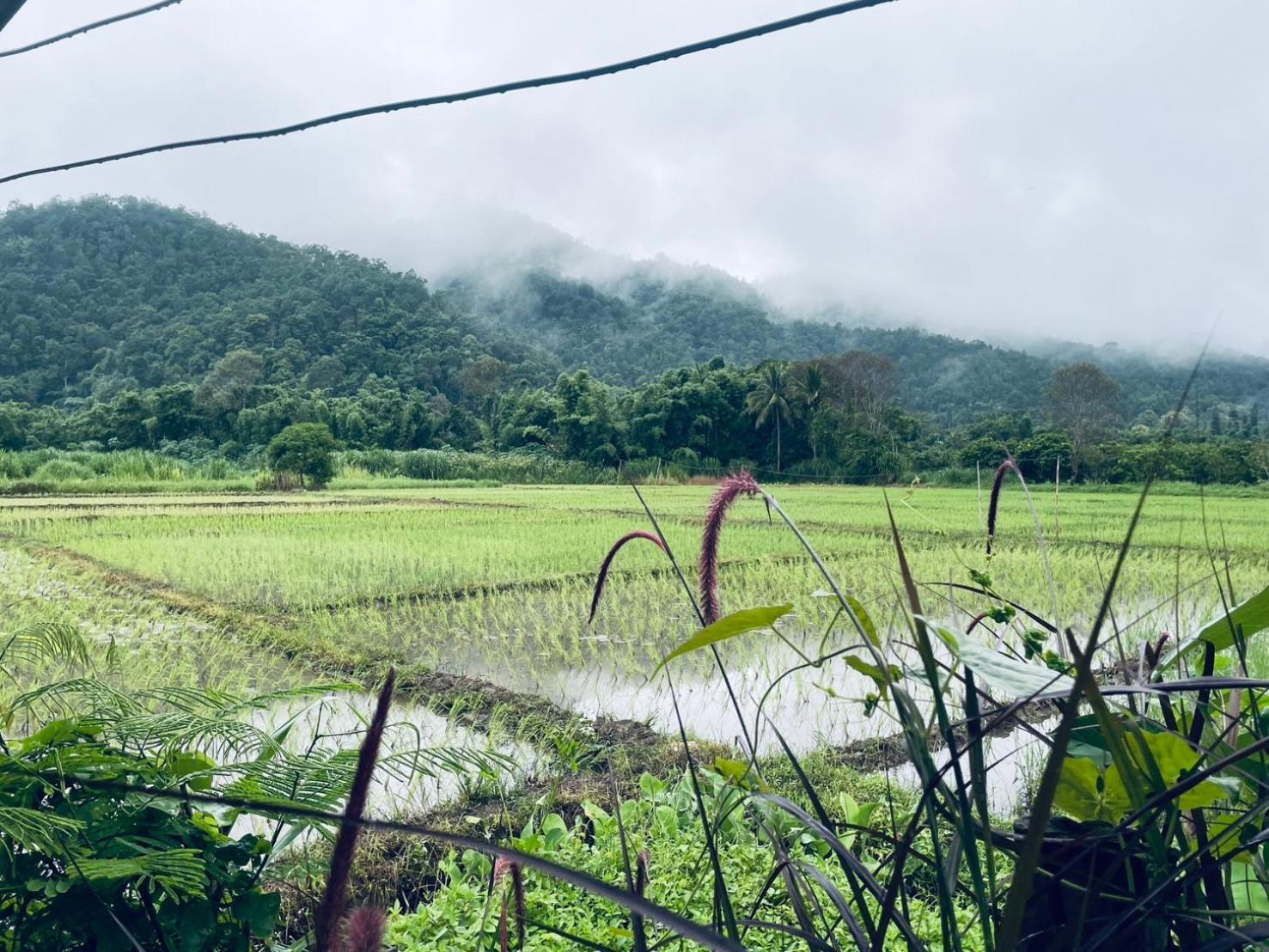 บ้านสวนวิวทุ่ง Ban Mae Sap Nua Eksteriør bilde