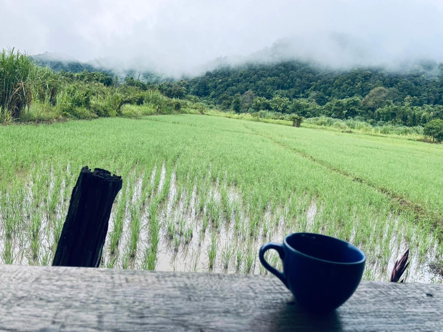 บ้านสวนวิวทุ่ง Ban Mae Sap Nua Eksteriør bilde