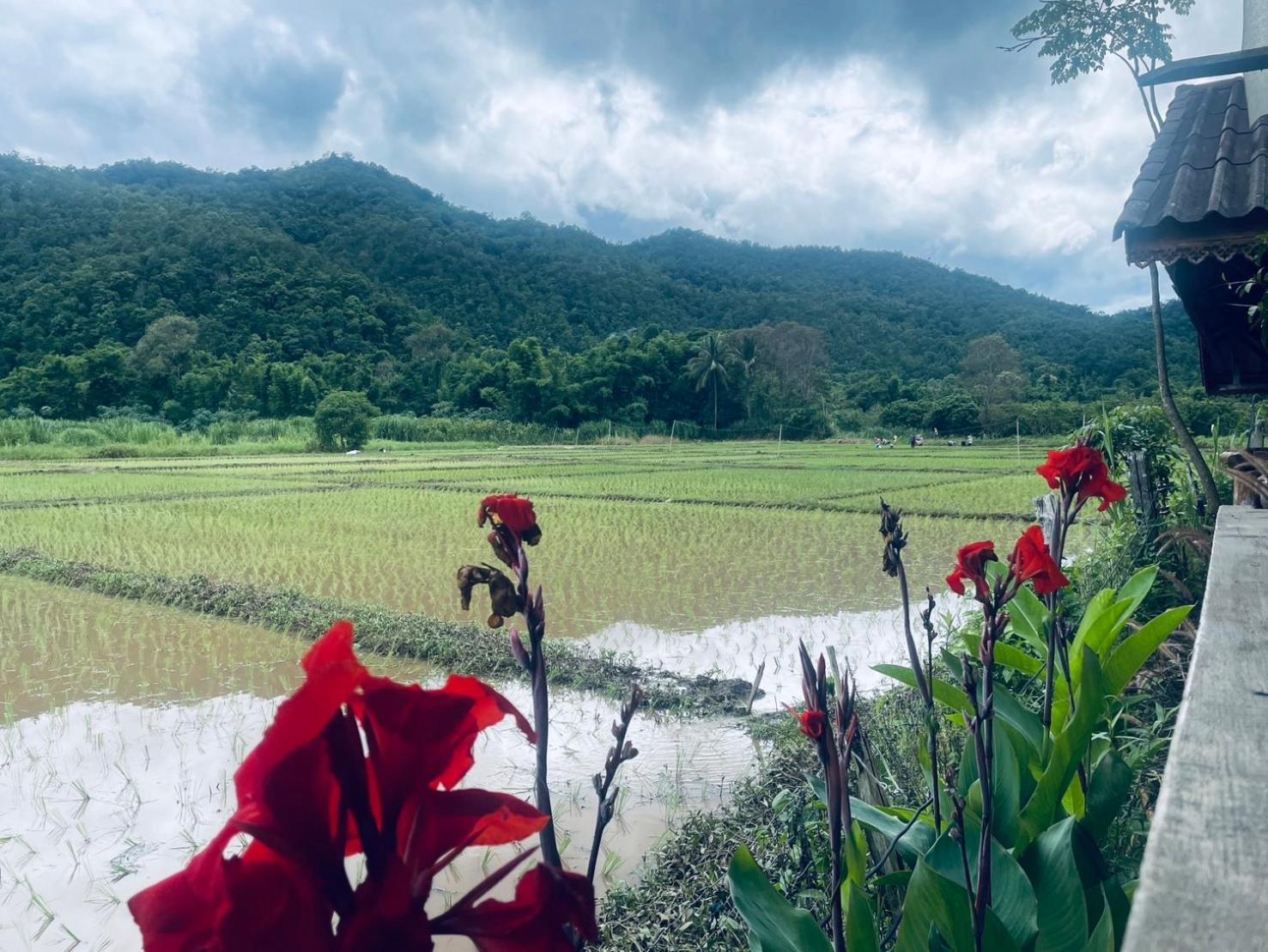 บ้านสวนวิวทุ่ง Ban Mae Sap Nua Eksteriør bilde
