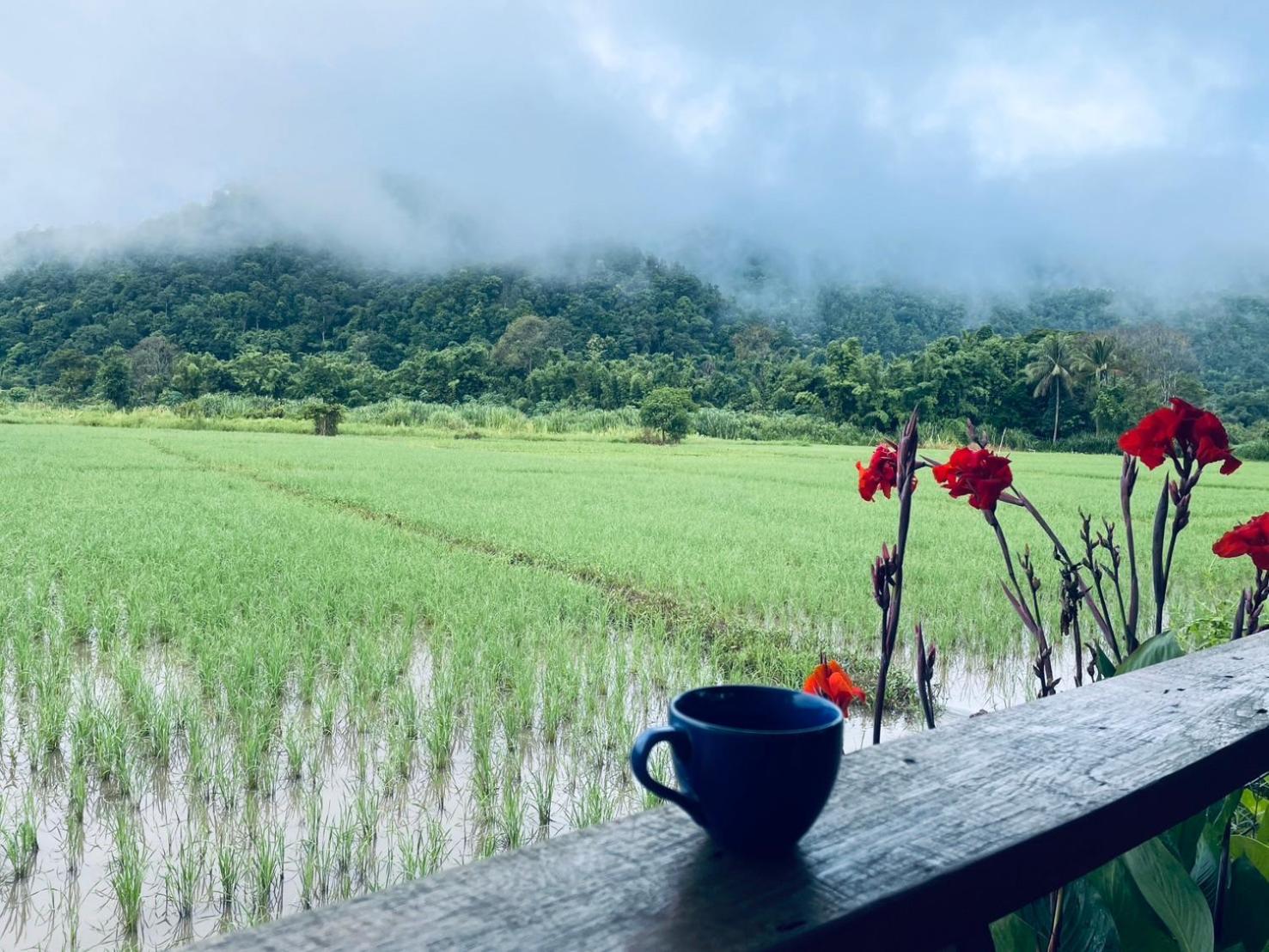 บ้านสวนวิวทุ่ง Ban Mae Sap Nua Eksteriør bilde