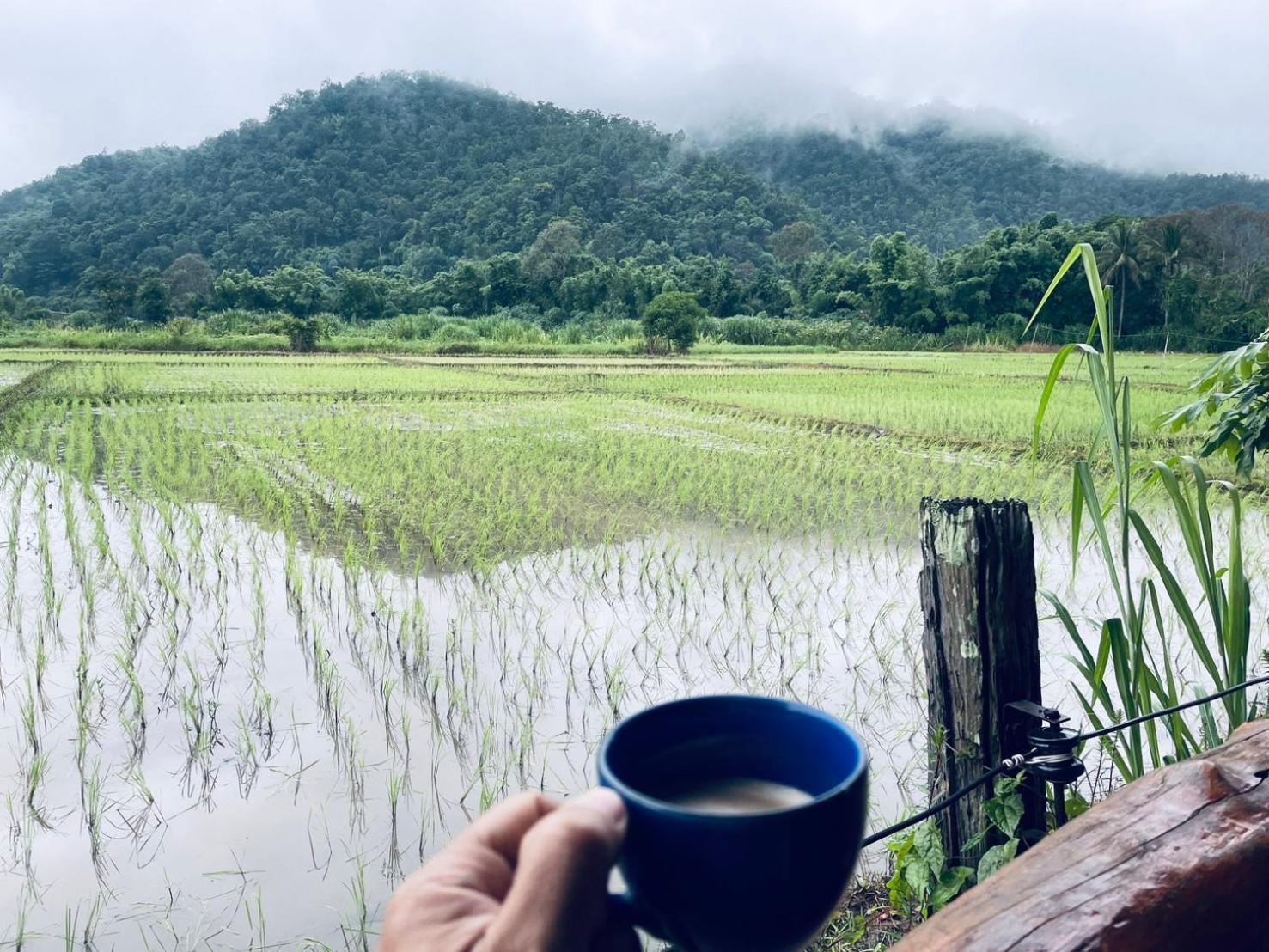 บ้านสวนวิวทุ่ง Ban Mae Sap Nua Eksteriør bilde