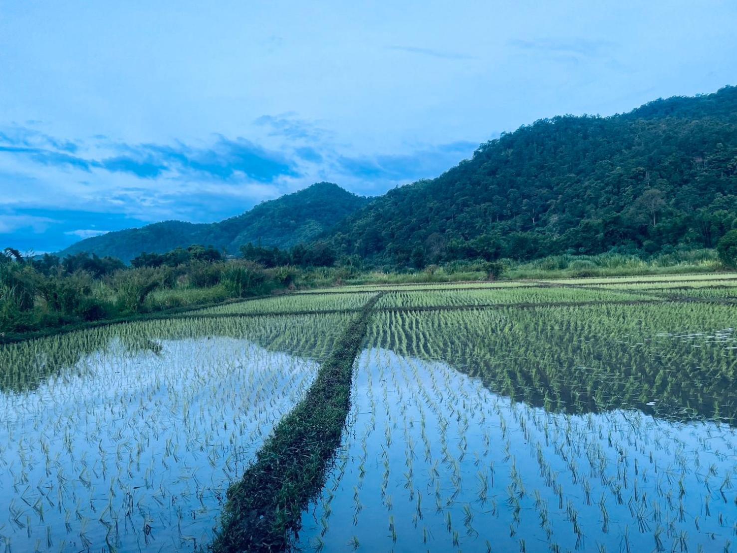 บ้านสวนวิวทุ่ง Ban Mae Sap Nua Eksteriør bilde