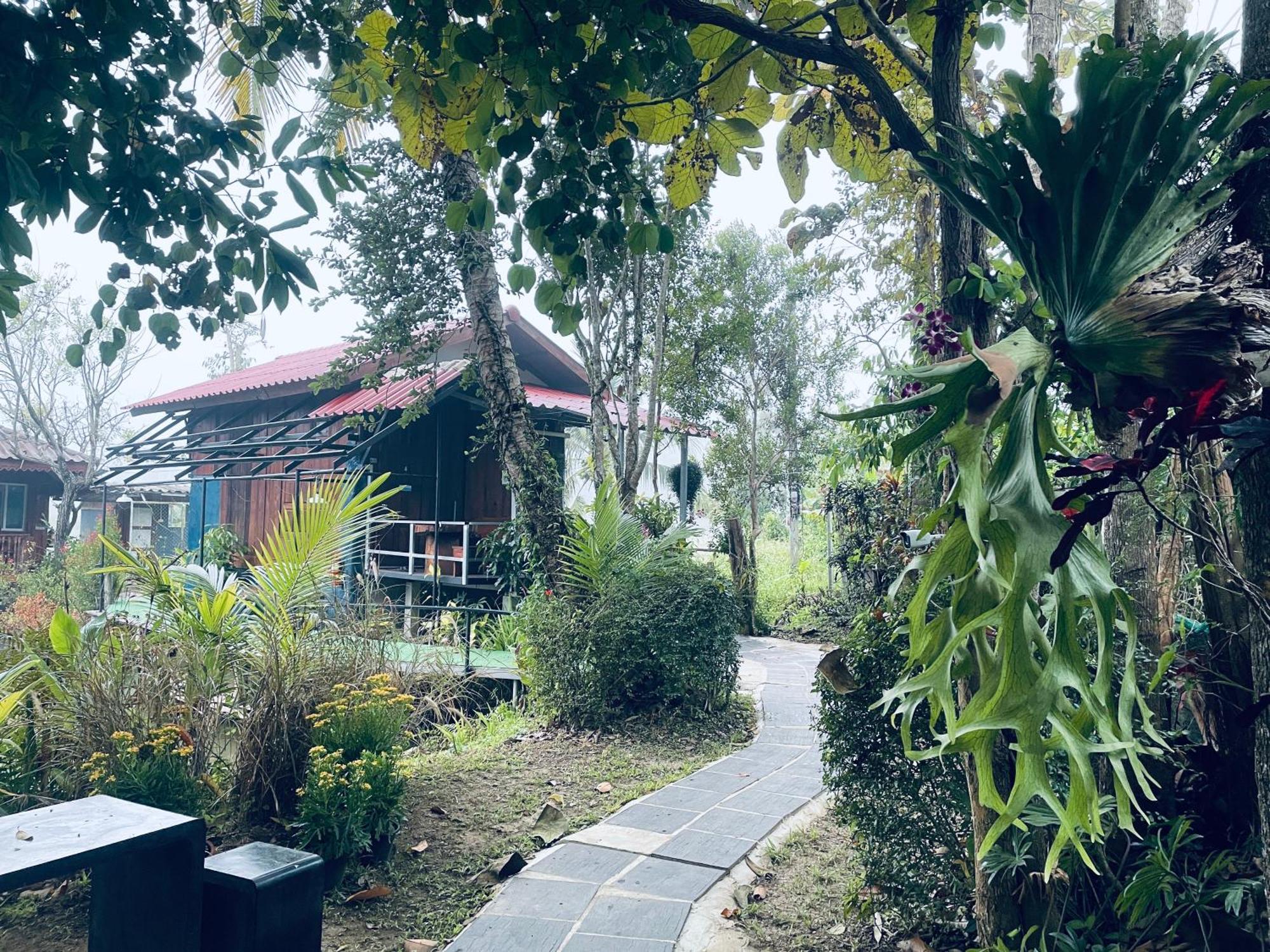บ้านสวนวิวทุ่ง Ban Mae Sap Nua Eksteriør bilde